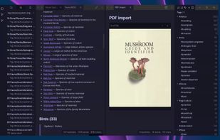 Opensidian screenshot 3
