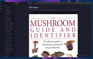 Opensidian screenshot 2