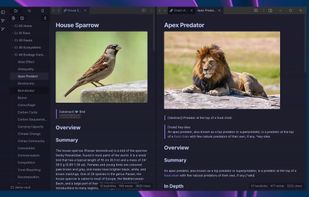 Opensidian screenshot 1