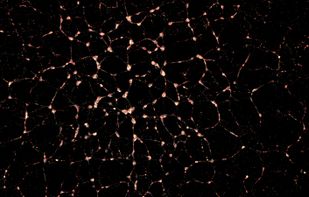 Reaccumulation of fragment field
Self-gravitational reaccumulation and formation of rubble-pile asteroids, simulated using SPH.