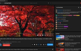 Watching a video - Dark