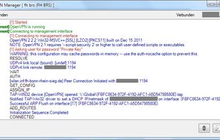 detail window, displays the connection log