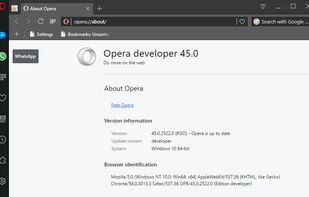 Opera Developer 45.0