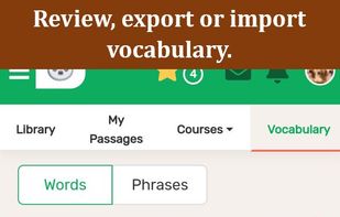 Language Crush screenshot 3