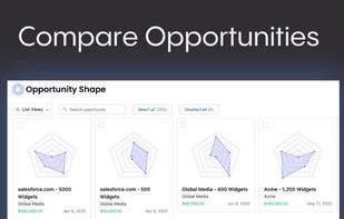 Opportunity Shape screenshot 1