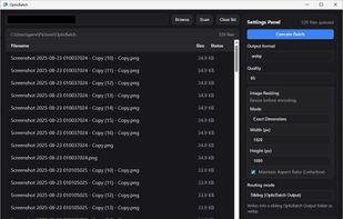 OpticBatch screenshot 1