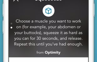 Optimity screenshot 2