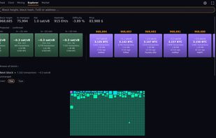 Block explorer with the upcoming blocks and the transactions of the latest block.
