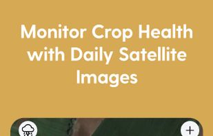 Monitor Crop Health with Daily Satellite Images