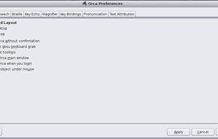 Orca Screen Reader screenshot 2