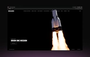 Orchids screenshot 3