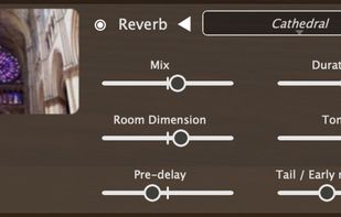 Organteq screenshot 2