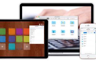 OrgChart screenshot 2