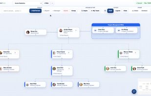 OrgChartDesk screenshot 1