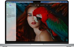 Orion Browser screenshot 3