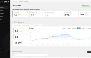 Company overview with average rating, NPS, branch count, and review totals, plus per-branch analytics.