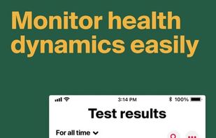 Ornament screenshot 3