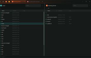 Oryxis screenshot 1