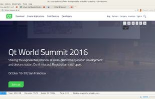 Otter Browser screenshot 1