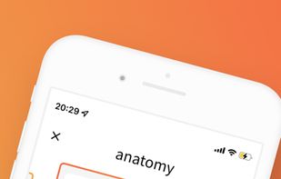 Outlearn screenshot 1