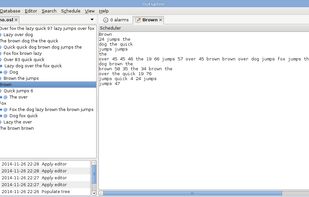 An item's editor interface.