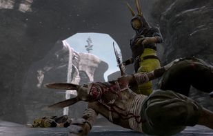 Overgrowth screenshot 3