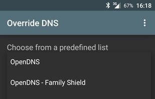Override DNS screenshot 1
