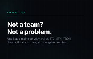 Ownbit screenshot 1