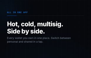Ownbit screenshot 1