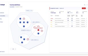 Oxeye Security screenshot 1