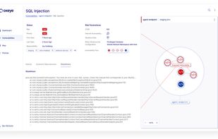 Oxeye Security screenshot 2