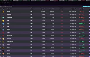OxRank Top 100 Crypto dashboard showing ranked crypto assets by weight, price, market cap, daily change, and 24-hour chart movement.