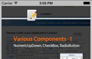 OZ e-Form screenshot 3