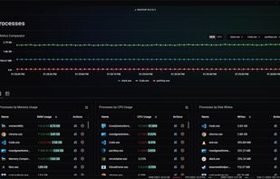 Processes Monitoring
The Processes feature allows you to monitor and compare resource usage of processes