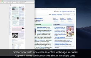Page Screenshot for Safari screenshot 1