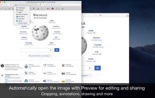 Page Screenshot for Safari screenshot 2