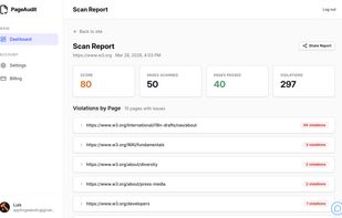 Full scan report showing total violations, pages crawled, and a breakdown of issues by page.