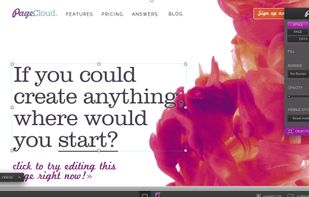 PageCloud screenshot 1