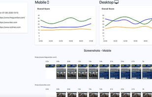 PageSpeedPlus.com screenshot 2