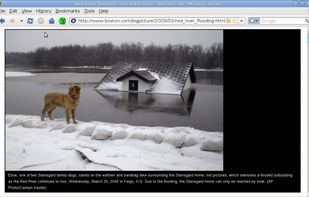 Resizes images to fit browser window.