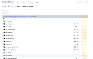 Restore files by single click