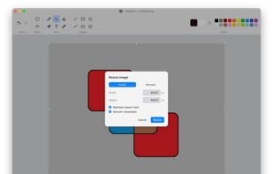 Resize by pixels/percent