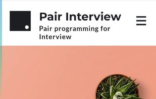 pairinterviews screenshot 1