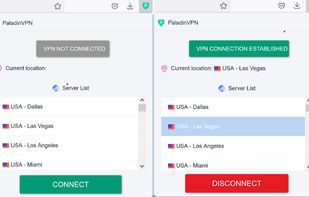 PaladinVPN screenshot 1