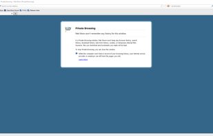 Pale Moon screenshot 1