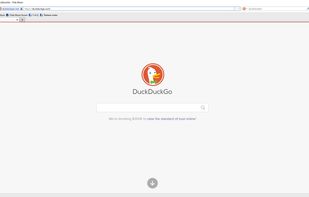 Pale Moon screenshot 2