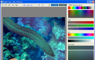 Palette Tune screenshot 1