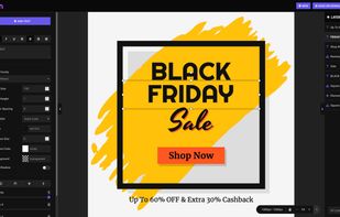 Palleon screenshot 1