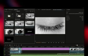 Palmier Pro screenshot 1