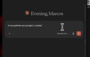 Palmier Pro screenshot 3
